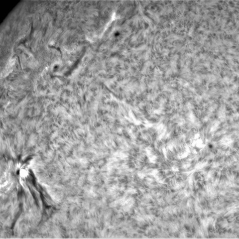 3月04日の太陽①（3242，3241，3239，3238）