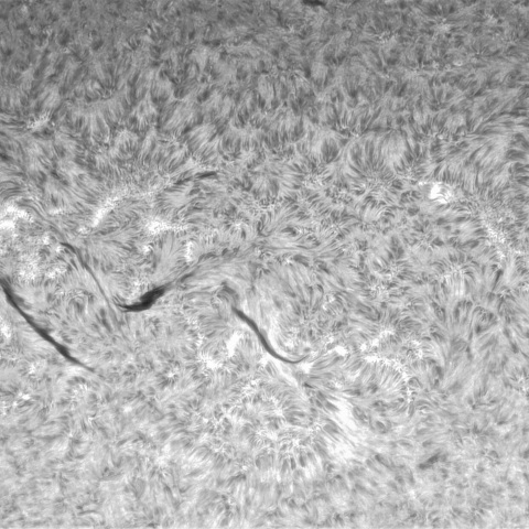 3月15日の太陽②（北半球中央部)
