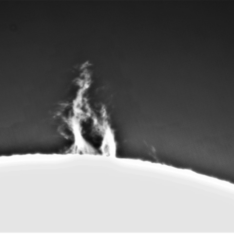 「手をつなぐ親子」　（3月16日の太陽① プロミネンス 北端）