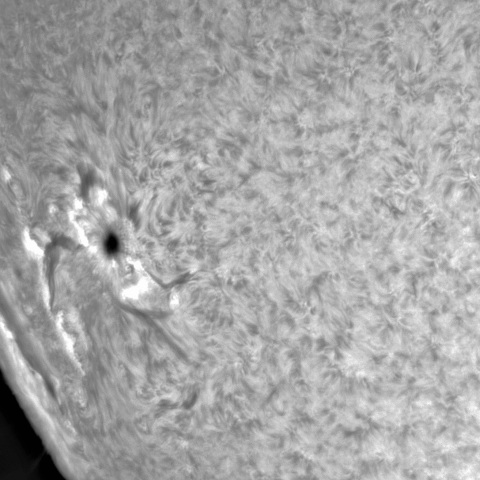 3月19日の太陽①（ 3256）