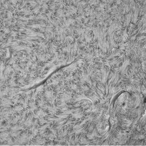 3月29日の太陽②（ 3262,3257,3256）