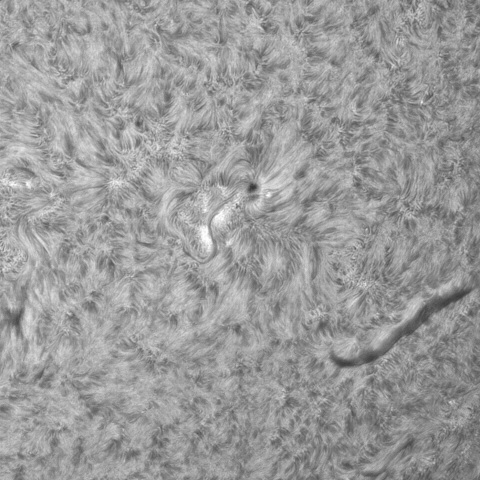 3月31日の太陽③（ 3262）