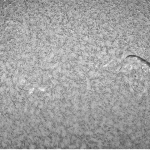 4月1日の太陽②（北半球）
