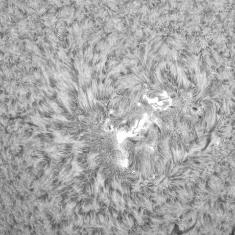 4月11日の太陽①（3276，3272）