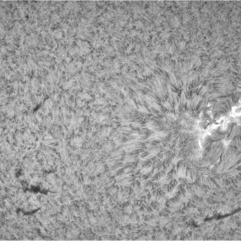 4月13日の太陽①（3279，3276，3272）