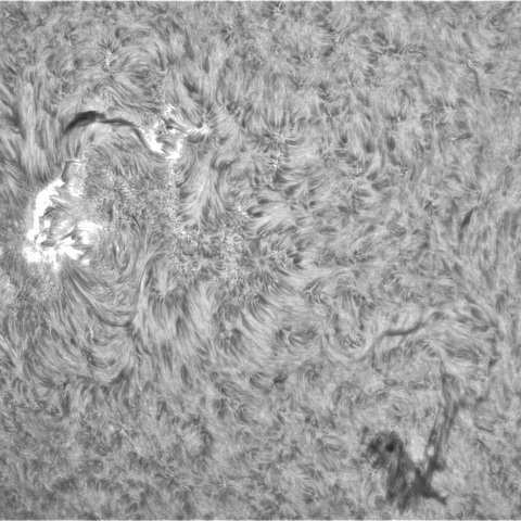 4月14日の太陽②（3281，3279，3276）