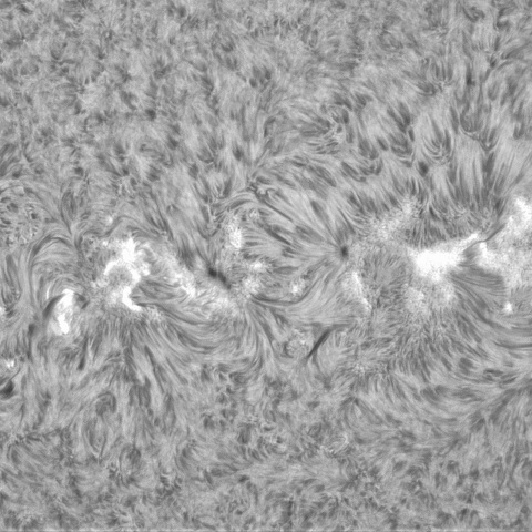 4月17日の太陽②（3283,3281,3279,3276）