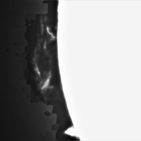 4月24日の太陽①（プロミネンス　東縁）