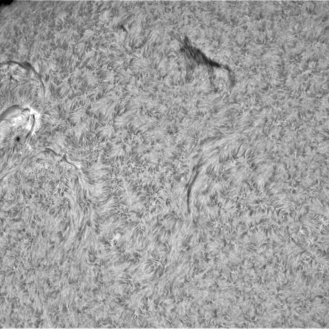 4月28日の太陽①（3292、3289、3291）