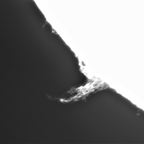 5月 1日の太陽①（プロミネンス　７時方向）