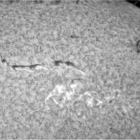 5月 3日の太陽④（3289，3295）