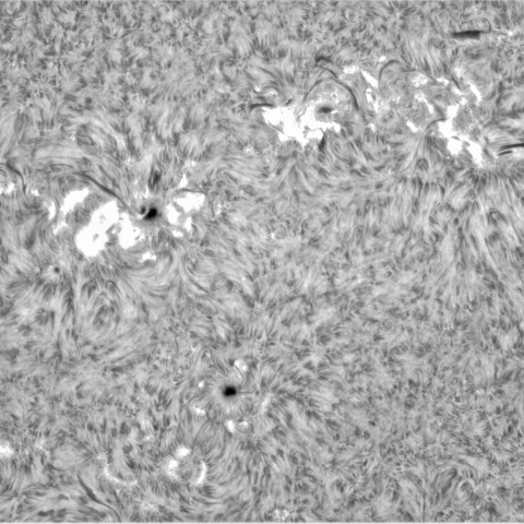 5月 8日の太陽①（太陽面正面）