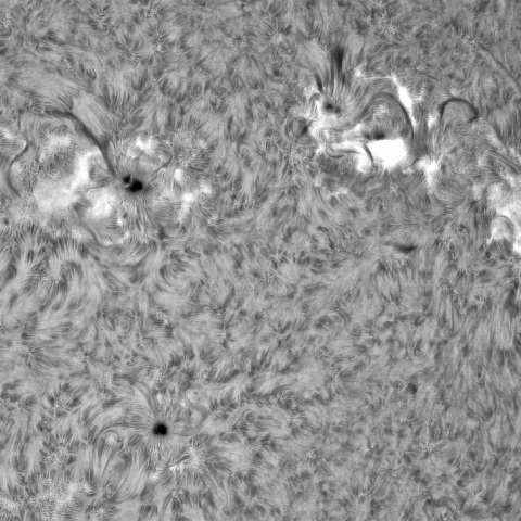 5月 9日の太陽①（正面）