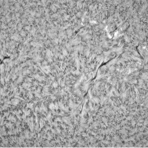 5月 10日の太陽①（南半球）