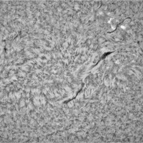 5月 11日の太陽③（南半球）