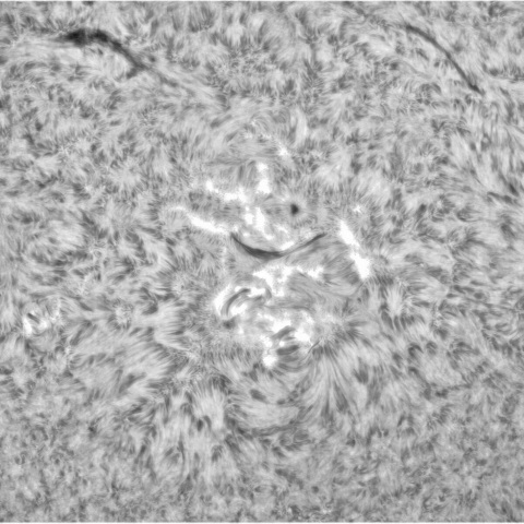 5月 16日の太陽①(3305、3302，3301，3304)　