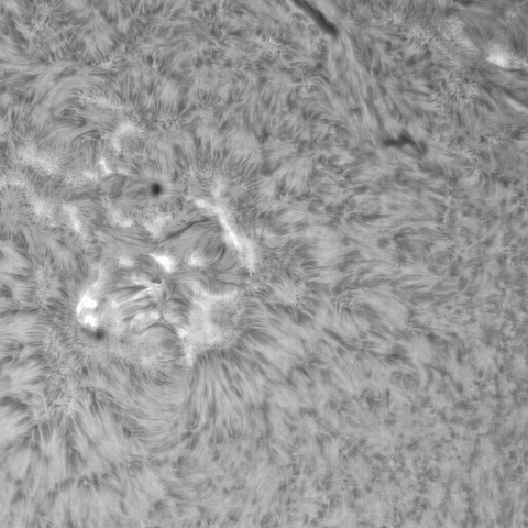 5月 17日の太陽①(3308、3305、3302、3301、3304)　