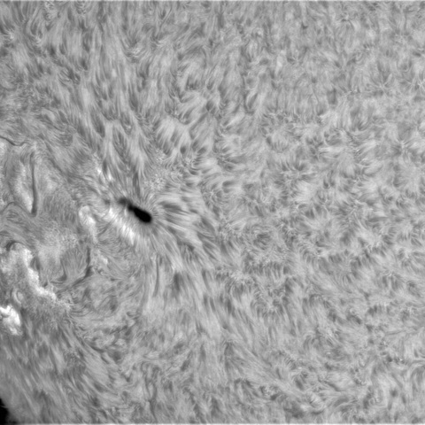 5月 20日の太陽③（3310）