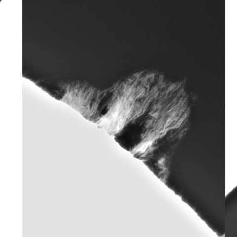 5月 20日の太陽①（プロミネンス3態）