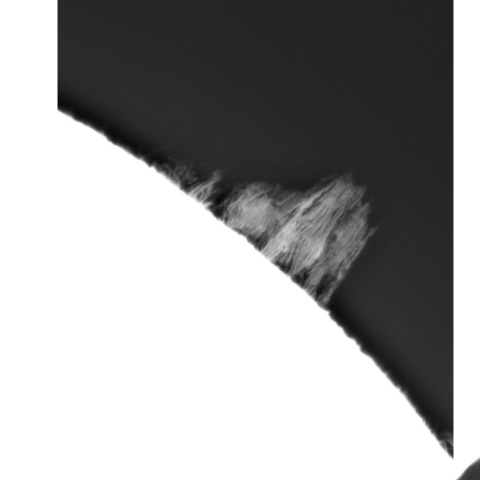 5月 21日の太陽④（プロミネンス）　