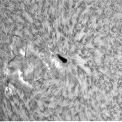 5月 21日の太陽②（3310）　