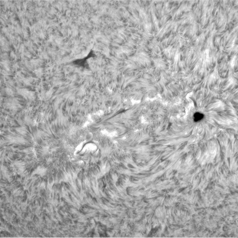 5月 24日の太陽②（3315，3312，3310）　