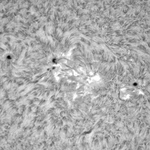 5月 24日の太陽①（3313、3311、3314）　