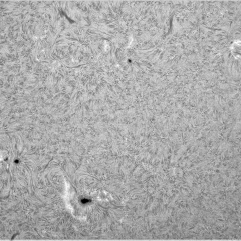 6月3日の太陽①（3323、3321、3320、3325）　