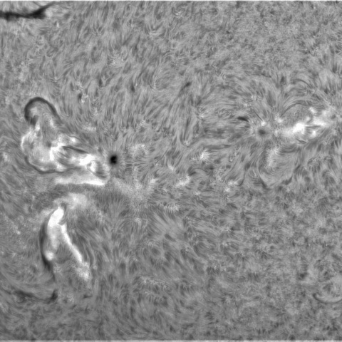 6月17日の太陽② (3335，3336，3333）　