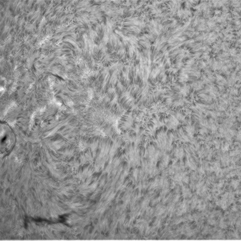 6月17日の太陽① (3337，3338，3334）　