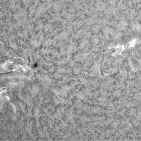 6月18日の太陽② (3336，3335，3333）　