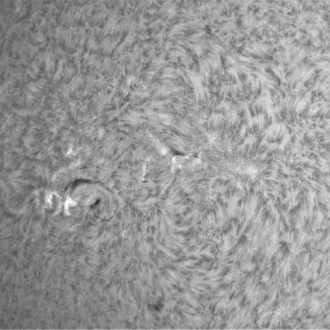 6月18日の太陽① (3338）　