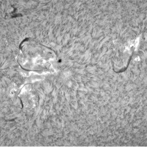 6月20日の太陽④ (3335，3336，3333，3332，3342）　