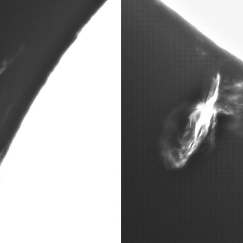 6月25日の太陽① (プロミネンス）　