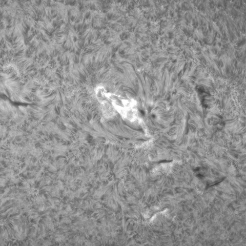 6月26日の太陽② (3345，3340，3346，3337，3338，3352）　