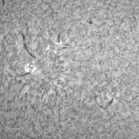 6月26日の太陽① 　(3351）　