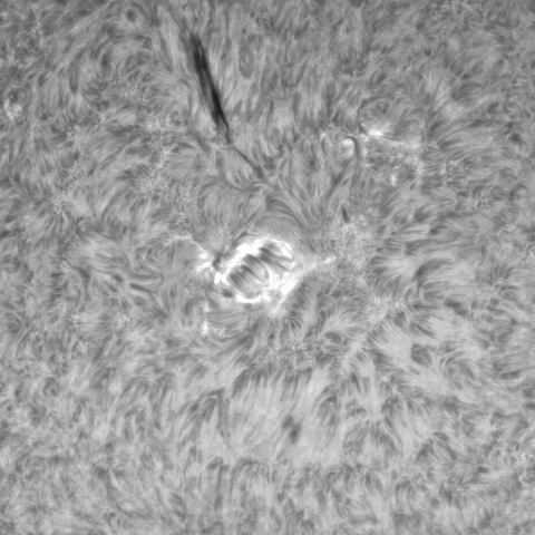 6月27日の太陽① 　(3354、3351）　