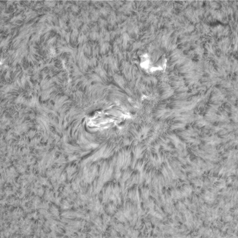 6月28日の太陽① 　(3354、3351）　