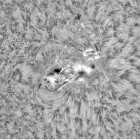 6月29日の太陽① 　(3354、3351）　