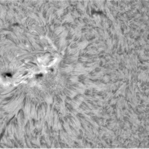6月30日の太陽① 　(3354、3351、3345）　
