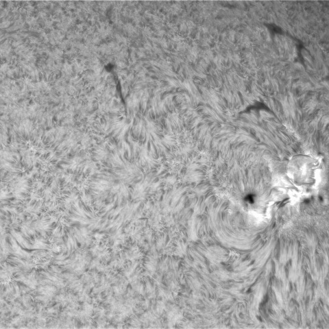 7月2日の太陽② 　(3354）　