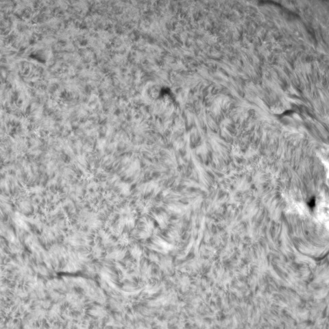 7月3日の太陽① 　(3354）　