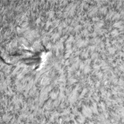 7月3日の太陽① 　(3360）　