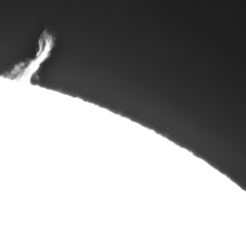 7月7日の太陽④ 　(プロミネンス　北西上端）　