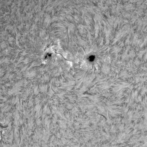 7月16日の太陽②(3373 , 3372　シングルスタック）　