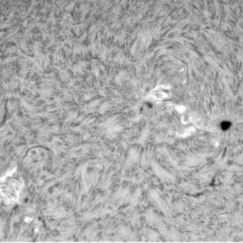 7月17日の太陽①　（3373、3372）　