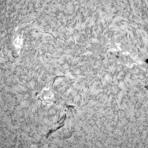 7月18日の太陽①　（3377，3376，3373，3372）　