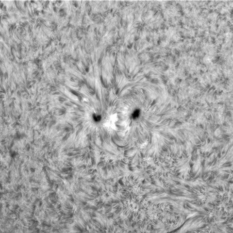 7月21日の太陽①（3377）