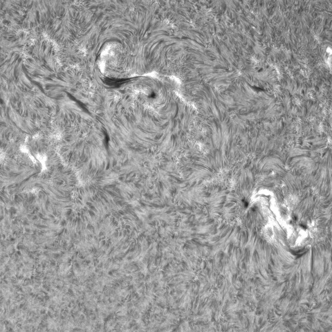 7月23日の太陽②（3376、3373 、3372 ）