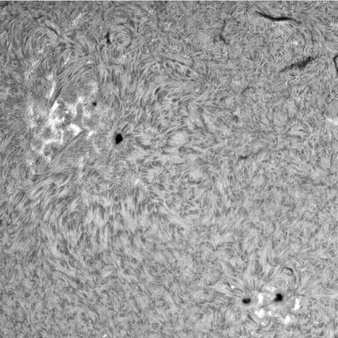 7月23日の太陽①（3379、3377 ）